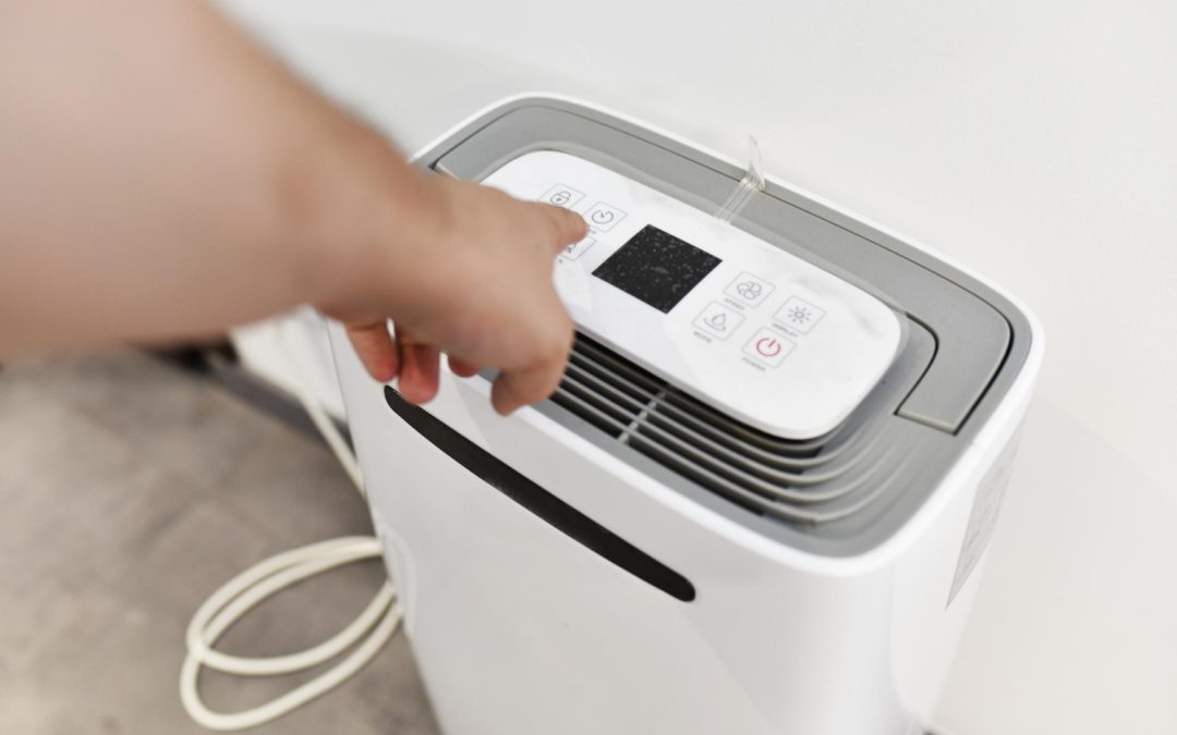 Are Damp Dehumidifiers Effective at Removing Damp?