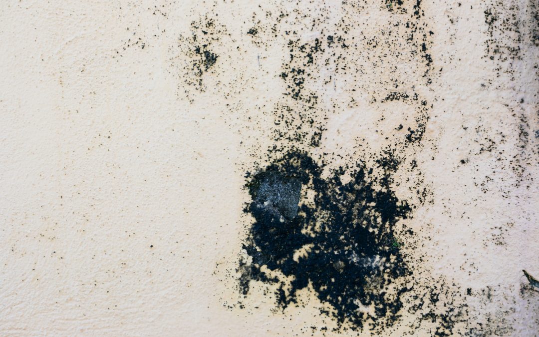 What is penetrating damp?